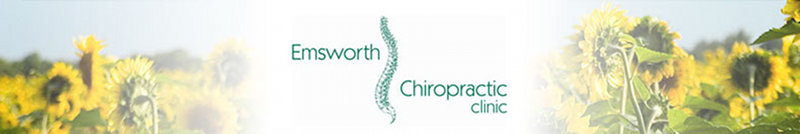 chiropractor in emsworth